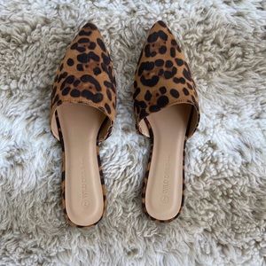 Cheetah mules